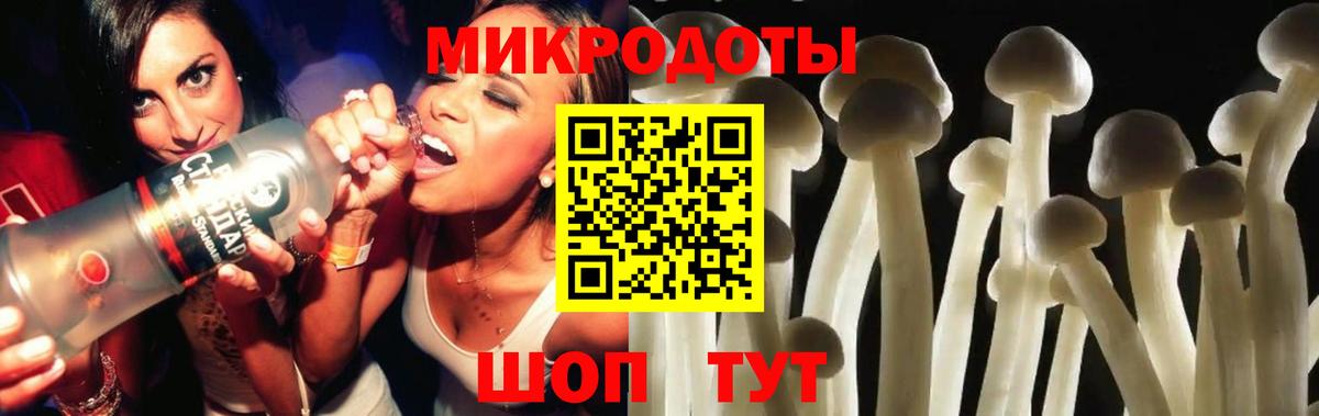 Узловая  Галлюциногенные грибы мицелий  Вход с VPN 